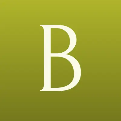 Boxberry, лого-визитка